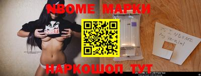 стафф Гатчина