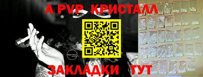 стафф Гатчина