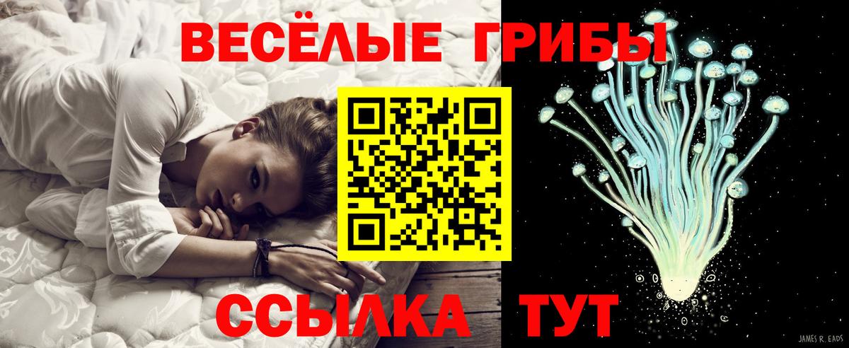 Галлюциногенные грибы ЛСД  Галлюциногенные грибы мухоморы  Когалым  продажа наркотиков  Вход с VPN 